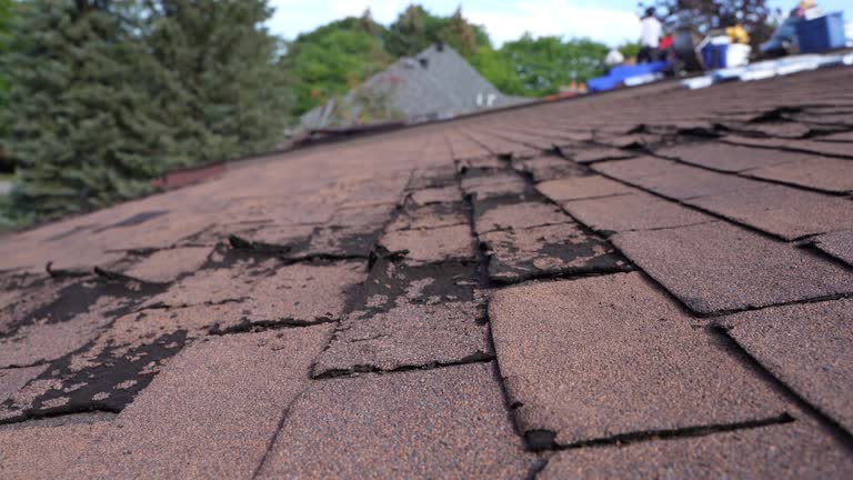 Roof Coating Services in Fremont, CA
