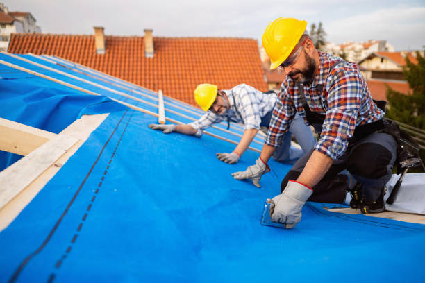 Best Roof Ventilation Installation  in Fremont, CA